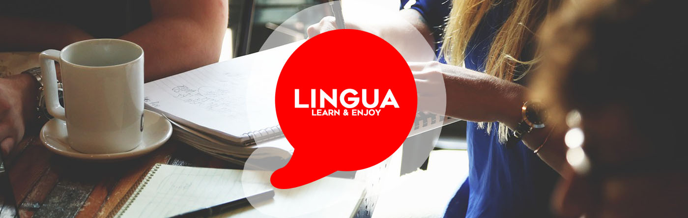Lingua Learn and Enjoy
